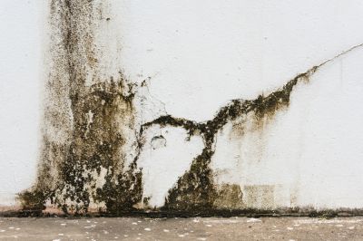 Avoid Mildew and Mold!